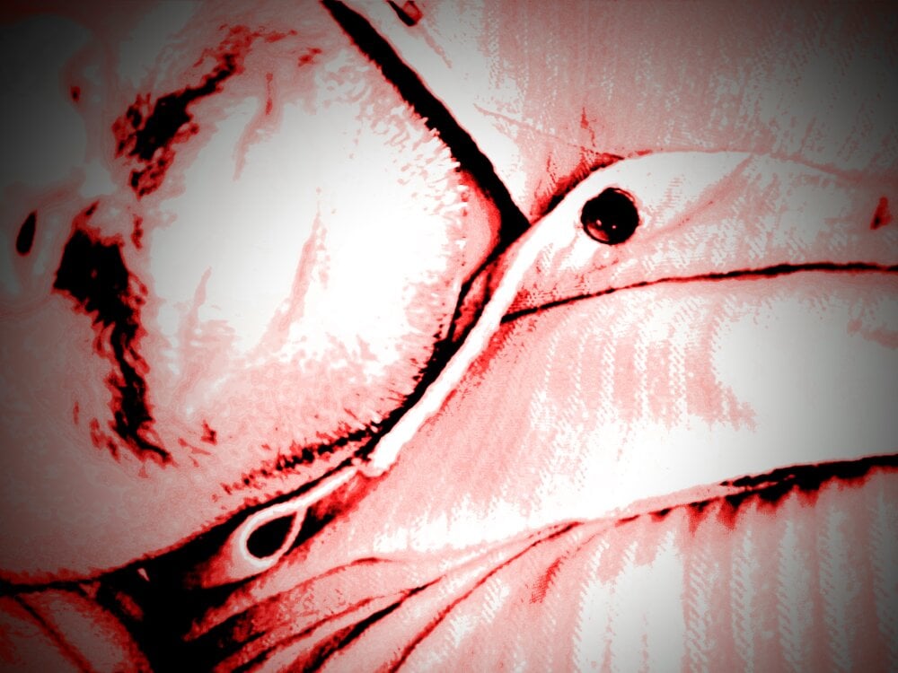 up_boy Chatroom