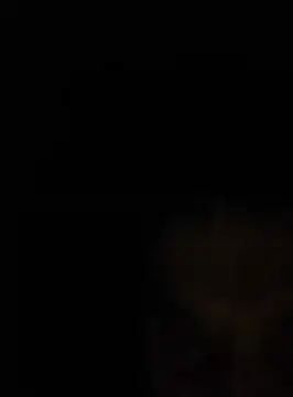 vladko141 Chatroom
