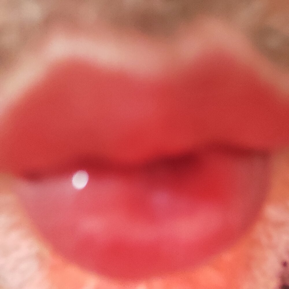 vogliadicazzo26 Chatroom