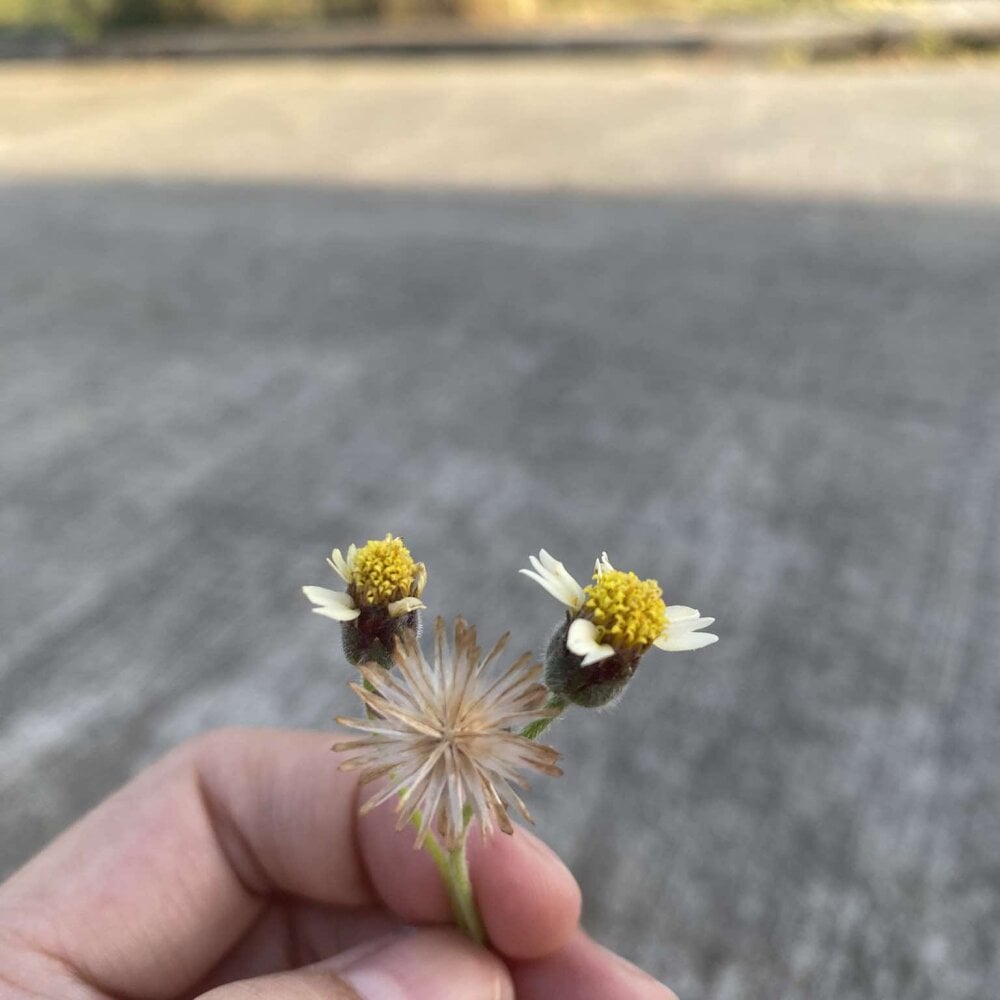 wildpussycat69 Chatroom