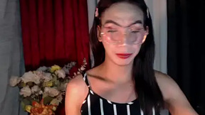 xyourdreamtrans